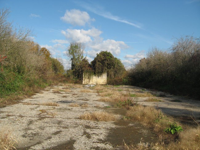 Slike - foto povečava