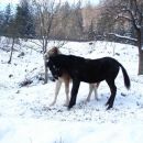 otroške igre